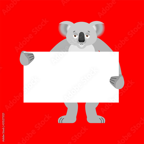 Sad Koala holding banner blank. koala bear sorrowful and white blank. place for text. Vector illustration