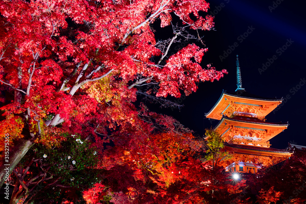 京都 清水寺の三重塔と紅葉 夜景 Stock Photo Adobe Stock