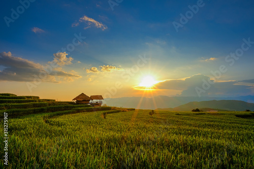 Landscape view of green terraced rice field in Pa Pong Pieng , Mae Chaem, Chiang Mai, Thailand on sunset time. photo