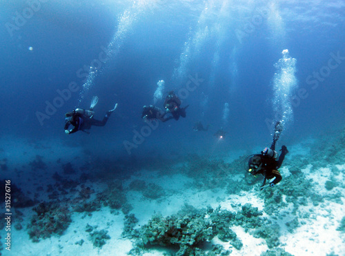 Scuba Diving Red Sea Egypt © David