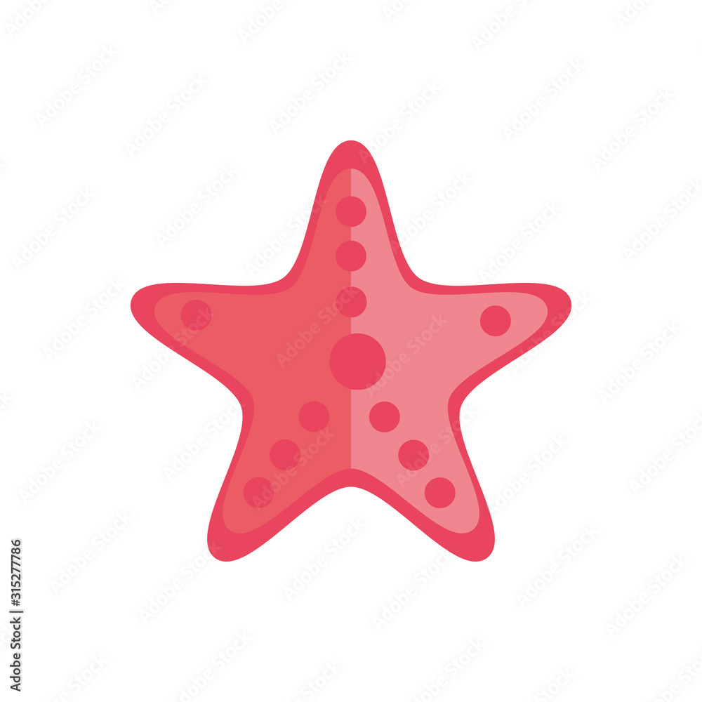 marine life, starfish cartoon sea fauna animal