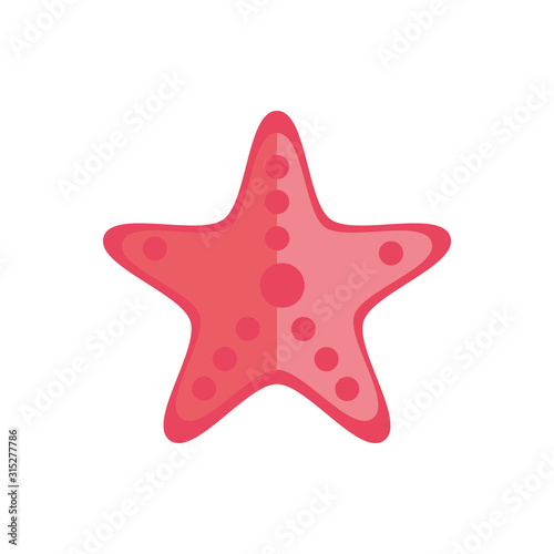 marine life  starfish cartoon sea fauna animal