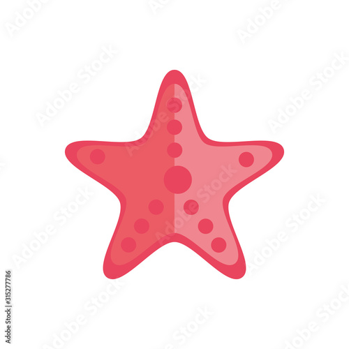 marine life, starfish cartoon sea fauna animal