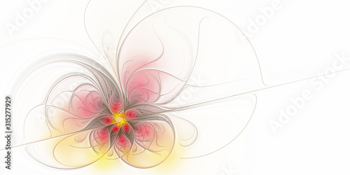 Abstract fractal flower on a white background