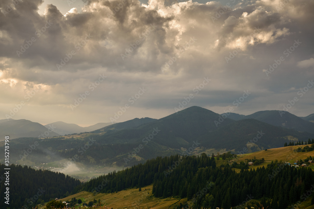 Naklejka premium Golden sunset in carpathian mountains - beautiful summer landscape, spruces on hills, dark cloudy sky and bright sun light, meadow and wildflowers
