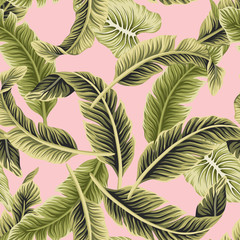 Rideaux Rose clair patrons Tropical vintage vector green banana leaves floral seamless pattern pink background. Exotic jungle wallpaper.  © good_mood