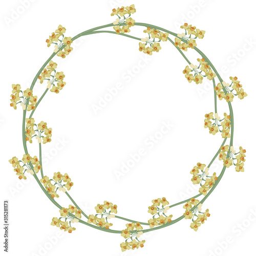Isolated vector illustration. Round floral decor or frame. Wreath of yellow narcissus or daffodil flower branches. Cute spring decor.