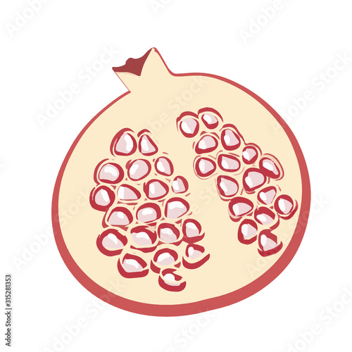 Fruit pomegranate.   Exotic fruits. Thailand. Vietnam. Vector pattern. On a white background. Isolated object.