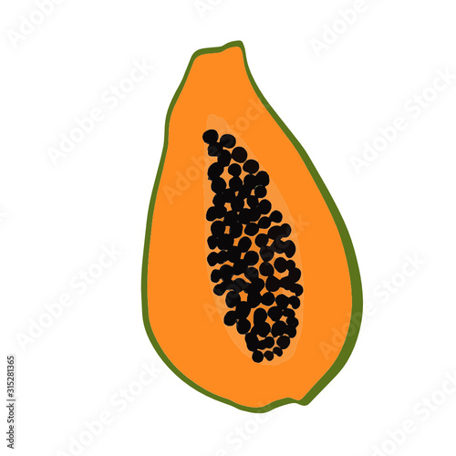 Papaya. Tropical warm print. Exotic fruits. Thailand. Vietnam. Vector pattern. On a white background. Isolated object.