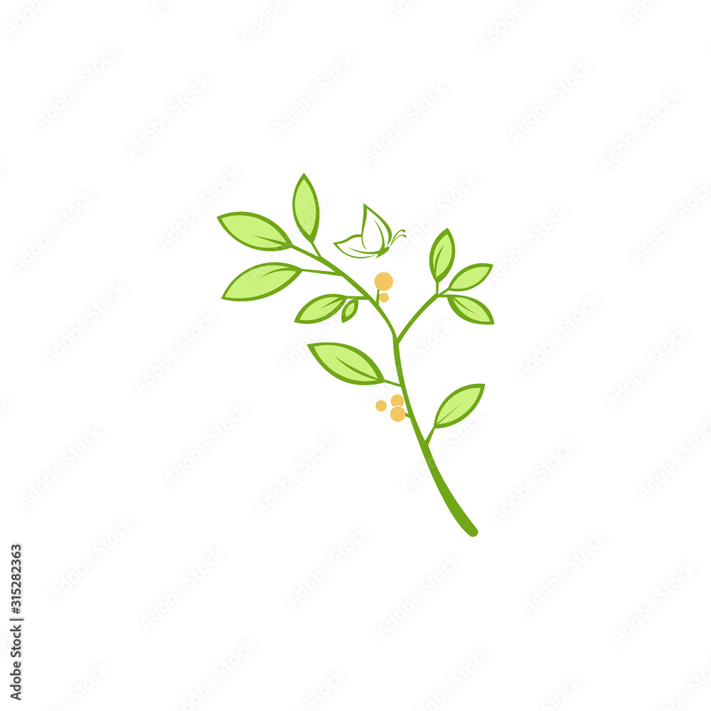 Trendy Tropical Leaves Vector Design, farm fresh and natural product labels and badges collection for food market, , organic products promotion, healthy life and premium quality food and drink. Trendy Tropical Leaves Vector Design, farm fresh and natural product labels and badges collection for food market, , organic products promotion, healthy life and premium quality food and drink.