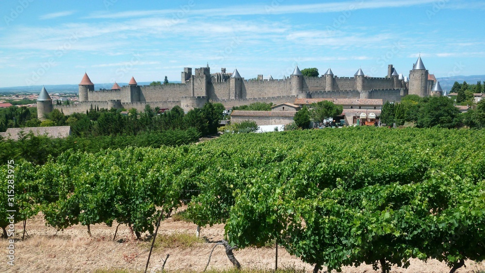 Panorama sur le vignoble autour de la cité de Carcassonne (France)