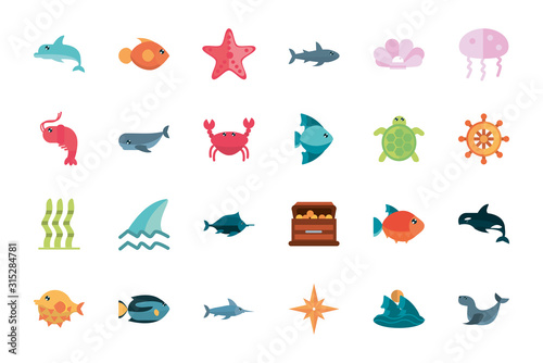 marine life, cartoon sea fauna animal set