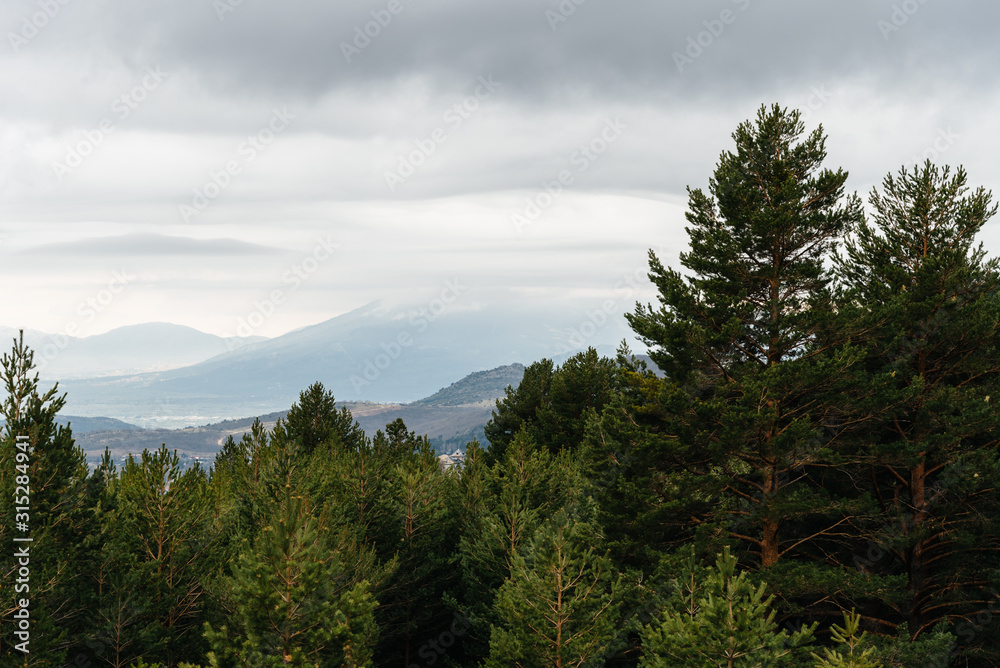 Picturesque view of mountainous landscape and pine forest on a misty day