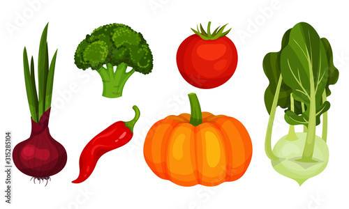 Fresh Vegetables Isolated on White Background Vector Set