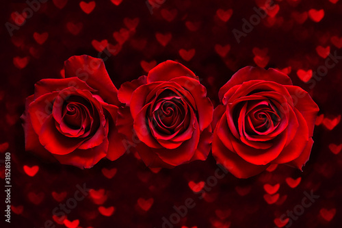  Valentines day card with three Red Roses on dark heart boke Background. Love and Wedding Day concept