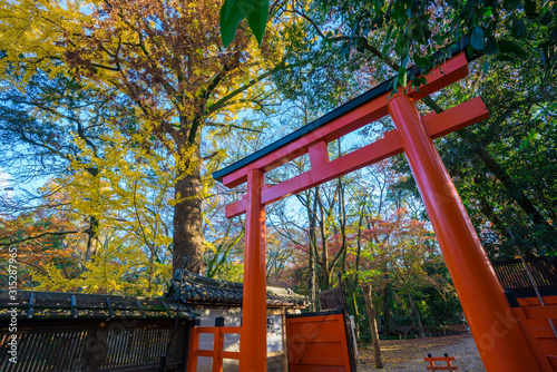 京都 河合神社の紅葉