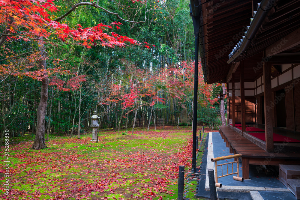 京都　高桐院の紅葉