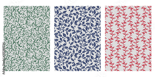 Japanese Ivy, Leaf Vine Abstract Vector Background Collection