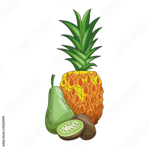 pear, kiwi and pineapple icon, flat design