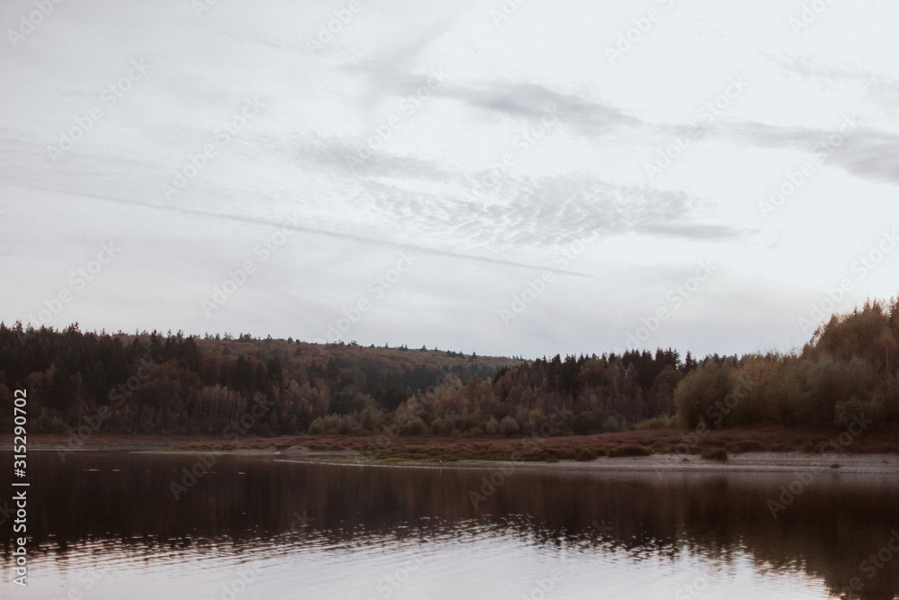 Fototapeta premium Woods Mountains