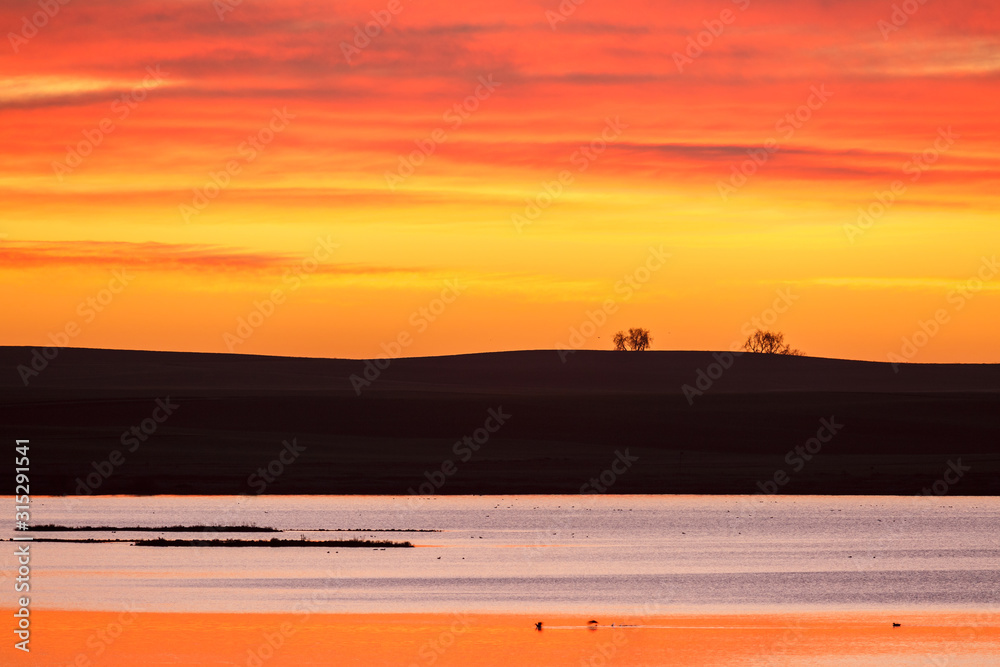 Φωτογραφία Amanecer en la Laguna Salina Grande, Reserva Natural de Lagunas de Villafáfila, Zamora, España