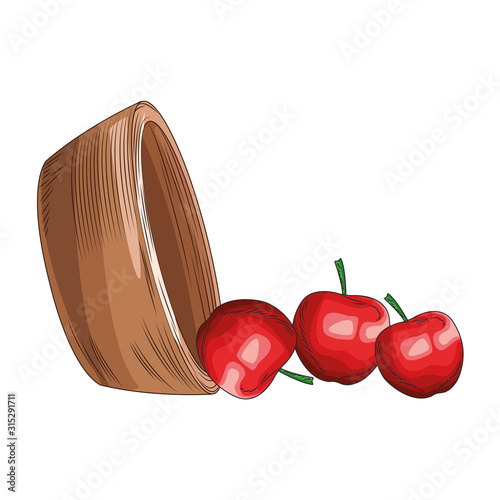 bowl and apples icon, flat design