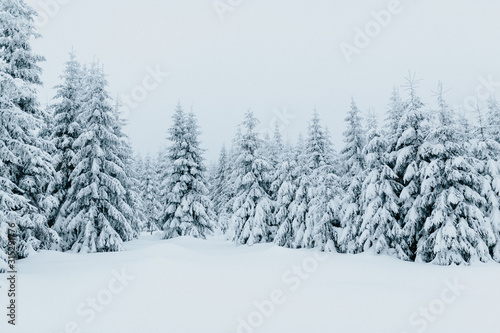 Snow Landscape © Ben