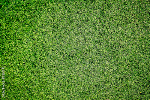 green grass background texture