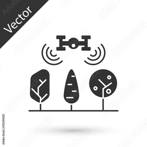 Grey Smart farm with drone control and tree icon isolated on white background. Innovation technology for agricultural company. Vector Illustration