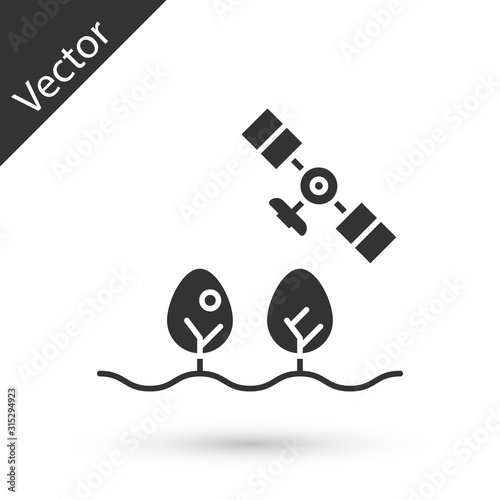 Grey Smart farm with drone control and tree icon isolated on white background. Innovation technology for agricultural company. Vector Illustration