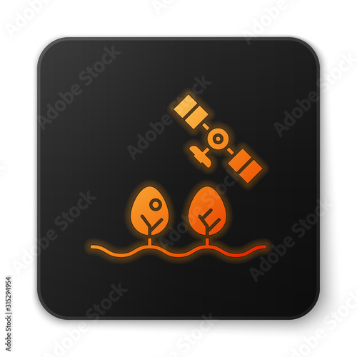 Orange glowing neon Smart farm with drone control and tree icon isolated on white background. Innovation technology for agricultural company. Black square button. Vector Illustration