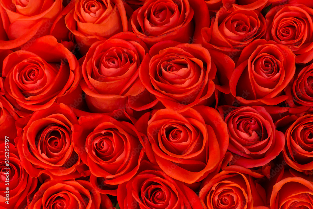 Top view on a bouquet of beautiful red roses. Natural flower trendy modern abstract texture background Top view on a bouquet of beautiful red roses. Natural flower trendy modern abstract texture background