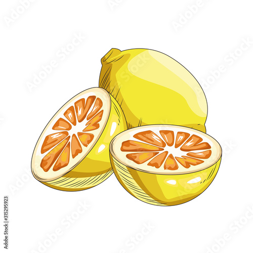lemons in halves icon, flat design