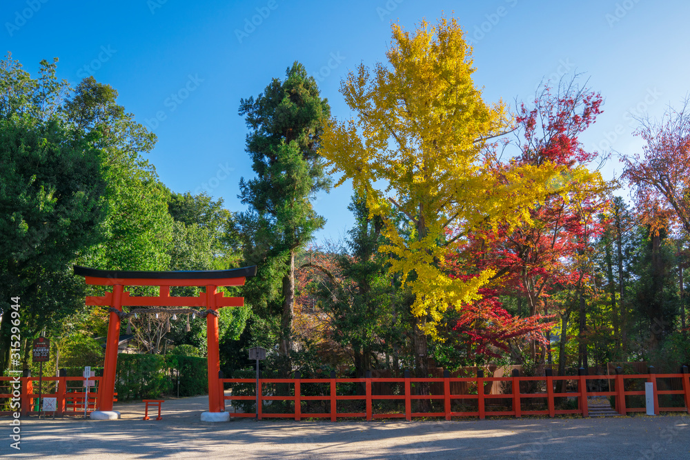 京都　上賀茂神社の紅葉　