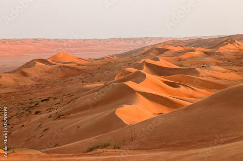Wahiba Sands desert, Oman photo