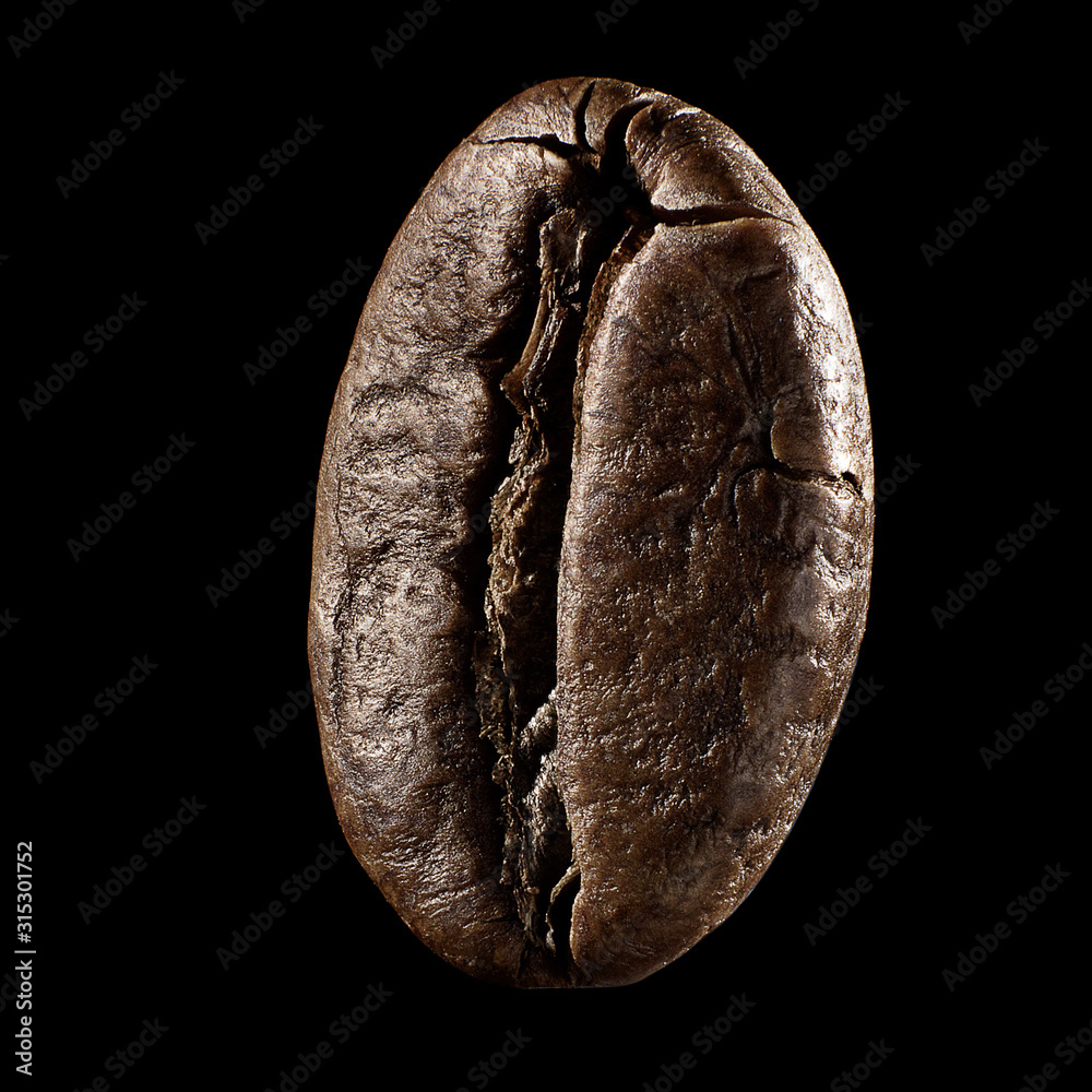 Naklejka premium Macro shot of coffee's seed on isolated black background, close-up. Copyspace for ad. Concept of nature, organic, food, cooking, nutrition, dimensional imagion of usual things and ingredients.