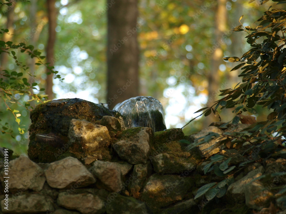 Obraz premium Fountain in the forest