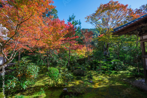京都 西明寺の紅葉
