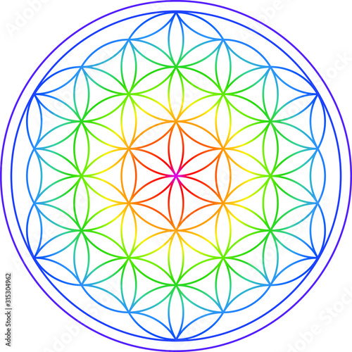 Blume des Lebens - Regenbogen