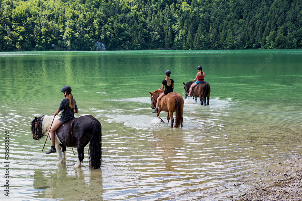 horses in the weissensee lake in the alps near fuessen, allgaeu, bavaria,germany horses in the weissensee lake in the alps near fuessen, allgaeu, bavaria,germany