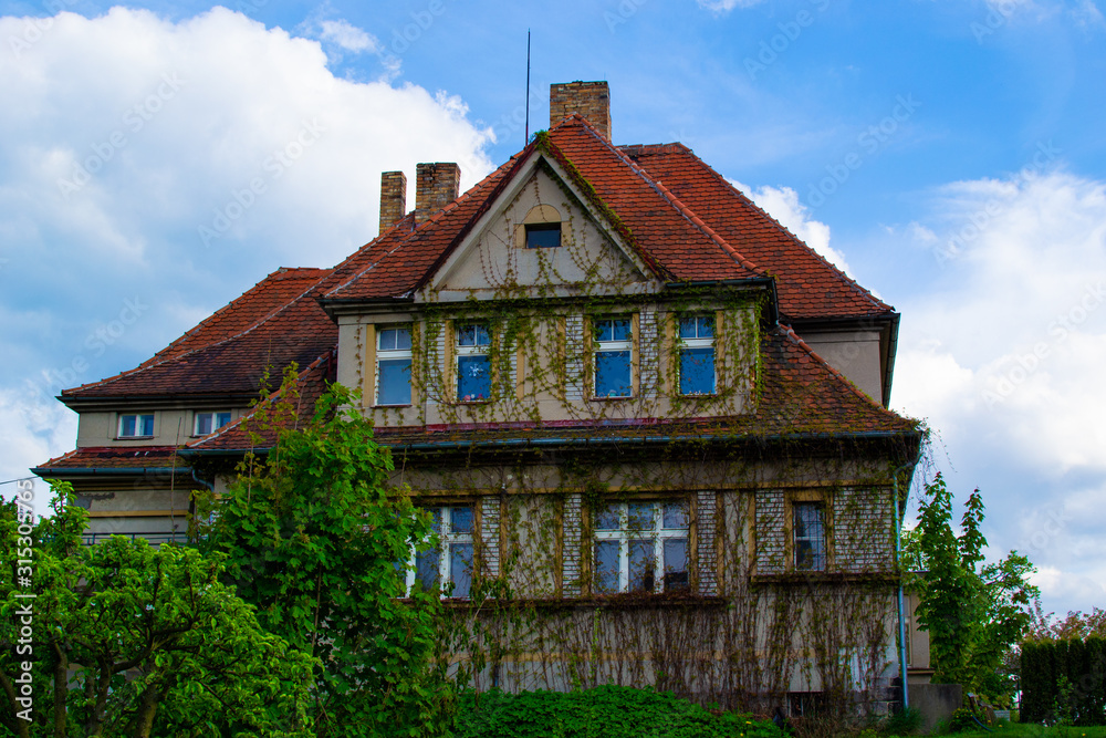 Typical country czech house decorated with climbing plants in a rural town