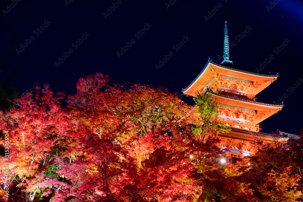 京都 清水寺の三重塔と紅葉 夜景 Stock 写真 Adobe Stock