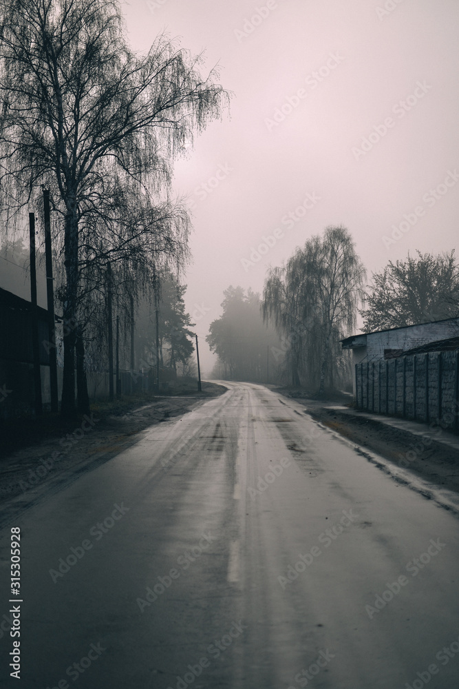 Obraz premium road in the fog. foggy day.