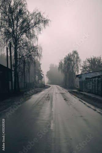 road in the fog. foggy day.