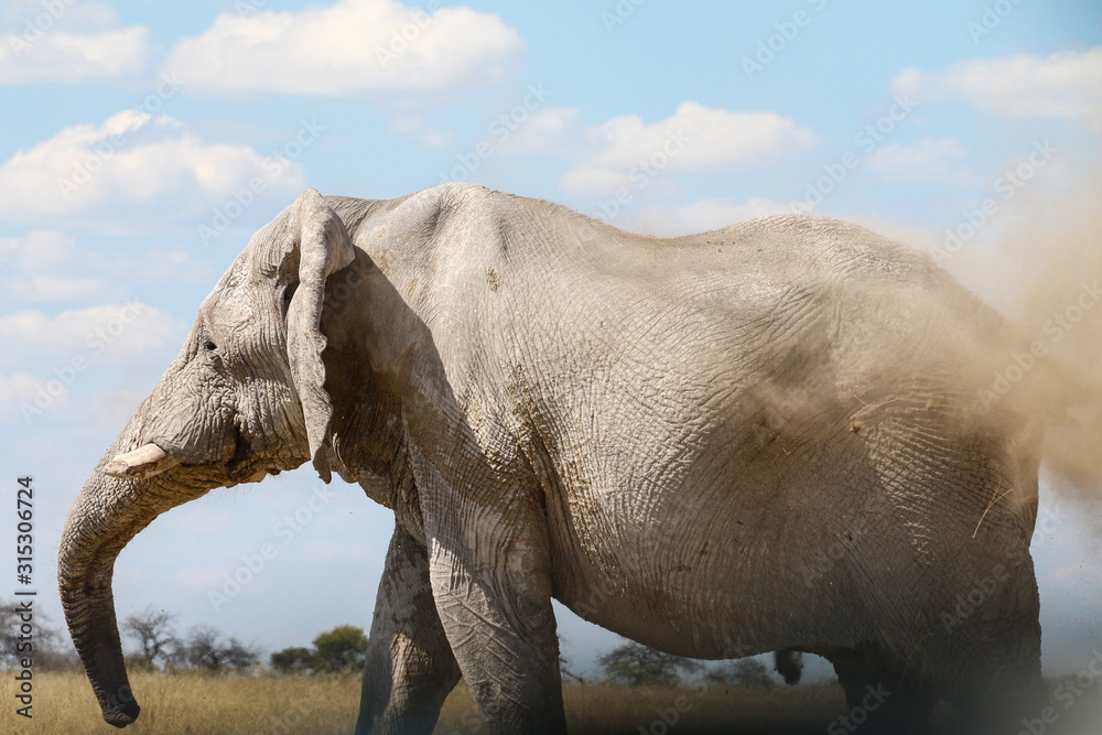 Fototapeta premium Staubdusche
