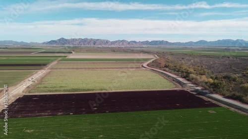 Drone aerial view of a field of red and green lettuce ready for harvest and a harvested romaine lettuce field  - Yuma, Arizona