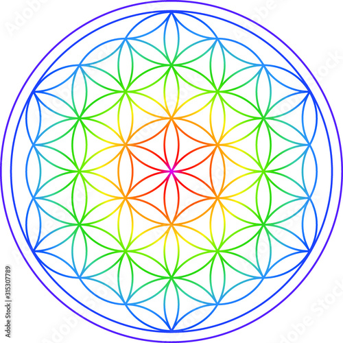Blume des Lebens - Regenbogen