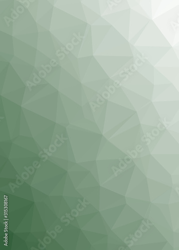 Fototapeta Naklejka Na Ścianę i Meble -  Abstract Low Polygon gradient Generative Art background illustration