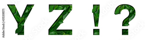 Font leafs Y,Z,!,? made of Real alive leafs with Precious paper cut shape. Leafs fonts collection set. photo