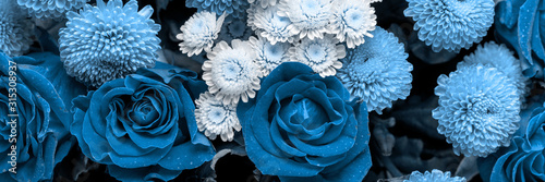 Bouquet of roses and chrysanthemums close up. Beautiful flower background. Blue floral backdrop. Panoramic banner.